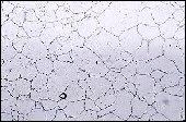 Microstructure evaluation of the heat-affected zone of a welded stainless steel piping flange etched to reveal the carbide distribution.