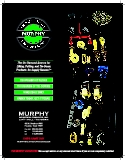 Murphy Quick Sheet Flier- What We Do