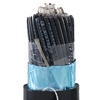 Instrumentation cables are multiple conductor cables that convey low energy electrical signals used for monitoring or controlling electrical power systems and their associated processes.