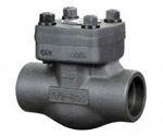 Ram Universal offers a wide variety of check valves and componenets.