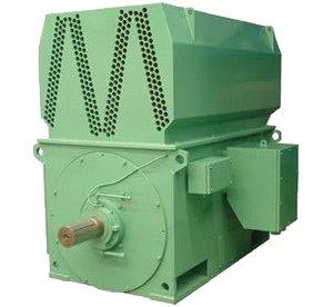 Medium Voltage Motors