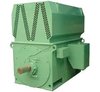 Medium Voltage Motors