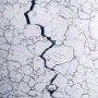 Metallography/Microstructure Evaluation