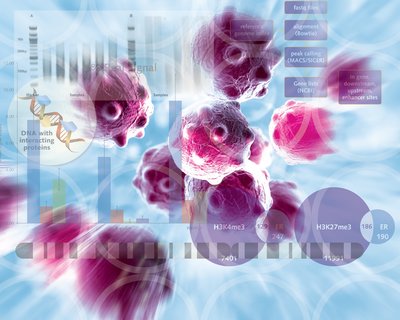 Are you Struggling with Chromatin in your ChIP assays?