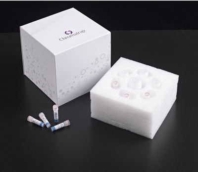 Wide Range of Epigenetic Assay Kits for Genomic Research