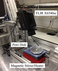 Simultaneous 2-D Surface Temperature and Velocity Measurement