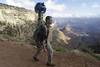 Google Trekker goes to the Grand Canyon, takes Street View souvenirs back home